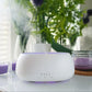 HOMEFISH Aroma Diffuser