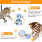 Cat Interactive Feather Toys