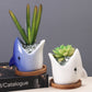 Succulent Pot Creative Cartoon Ceramic Flower