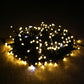 Dark Green Line LED Low Voltage String Lights