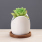 Succulent Pot Creative Cartoon Ceramic Flower
