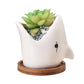Succulent Pot Creative Cartoon Ceramic Flower